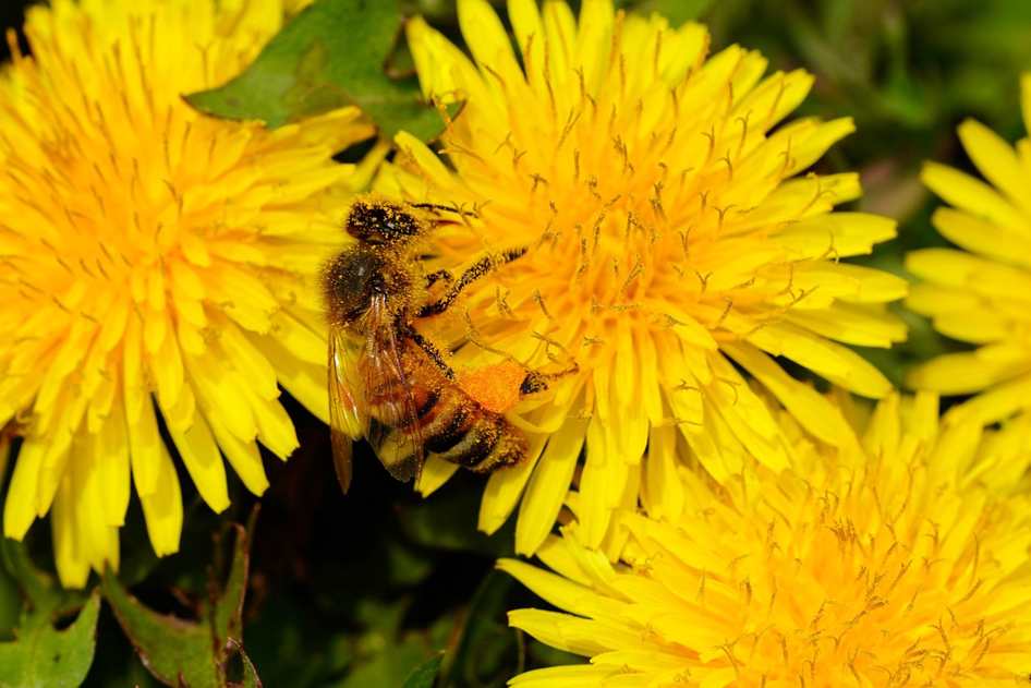 8 Spices That Instantly Boost Any Dish